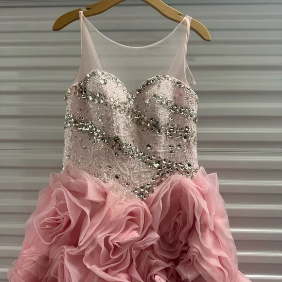 Blush Pink Beaded Ball Gown with Rosette Skirt – Medium Fit - Picture 10 of 16